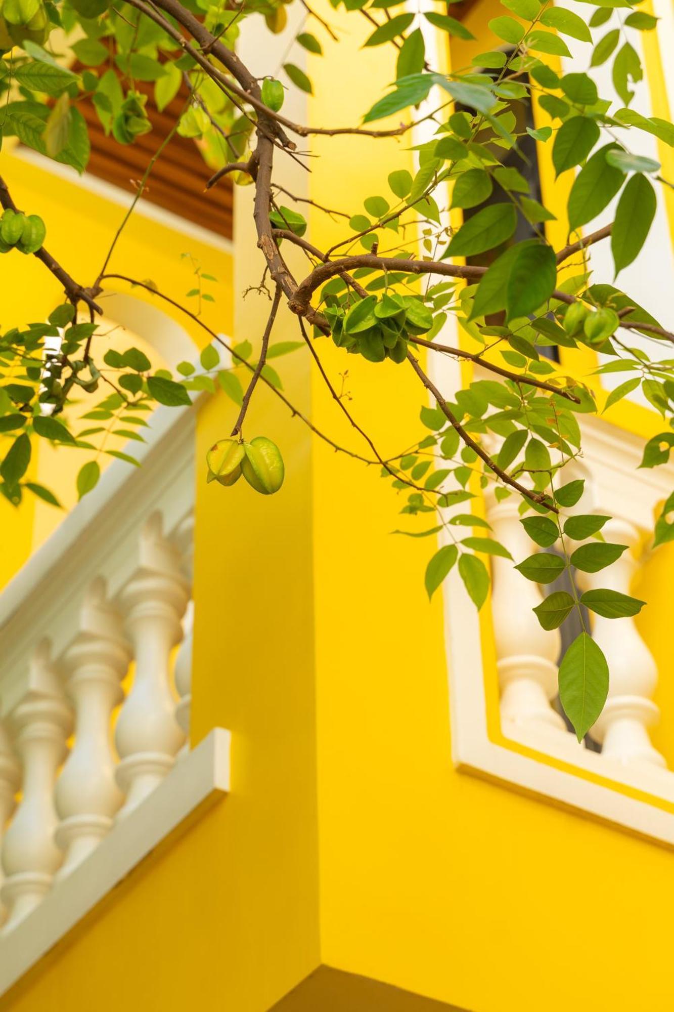 Quyen'S House Homestay Χόι Αν Εξωτερικό φωτογραφία